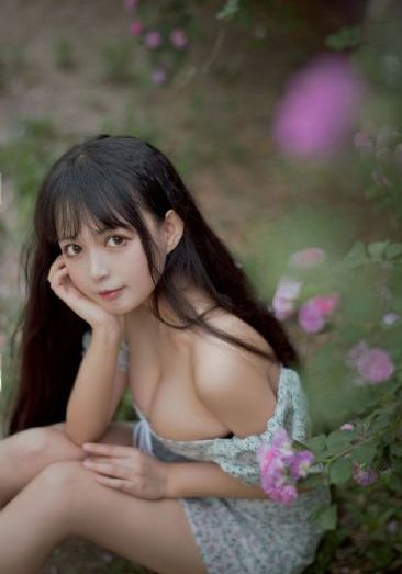 猪不戒