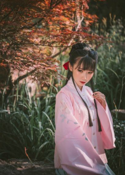 高岭家的二领花