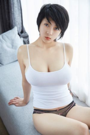 大明王朝1566 电视剧