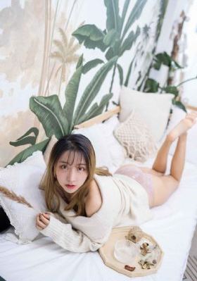 b级计划文件